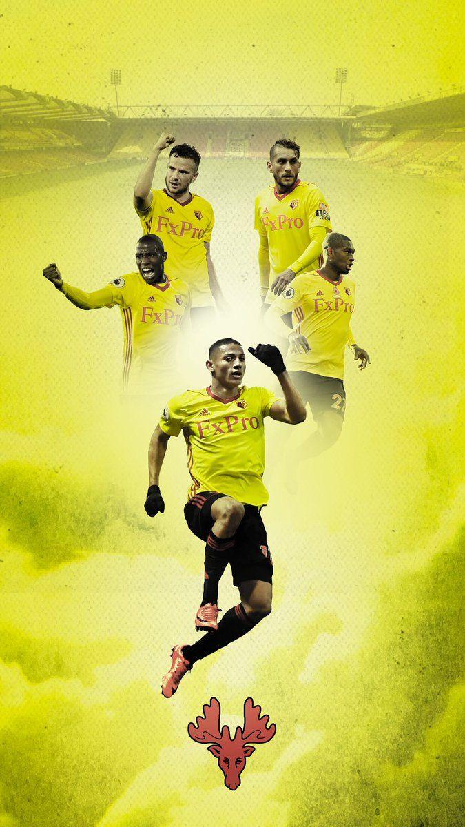 Mark Griffin #watfordfc wallpaper for you Hornets