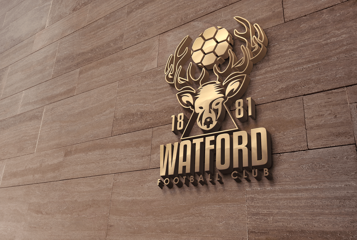 Concepts: Re Imagining Watford FC