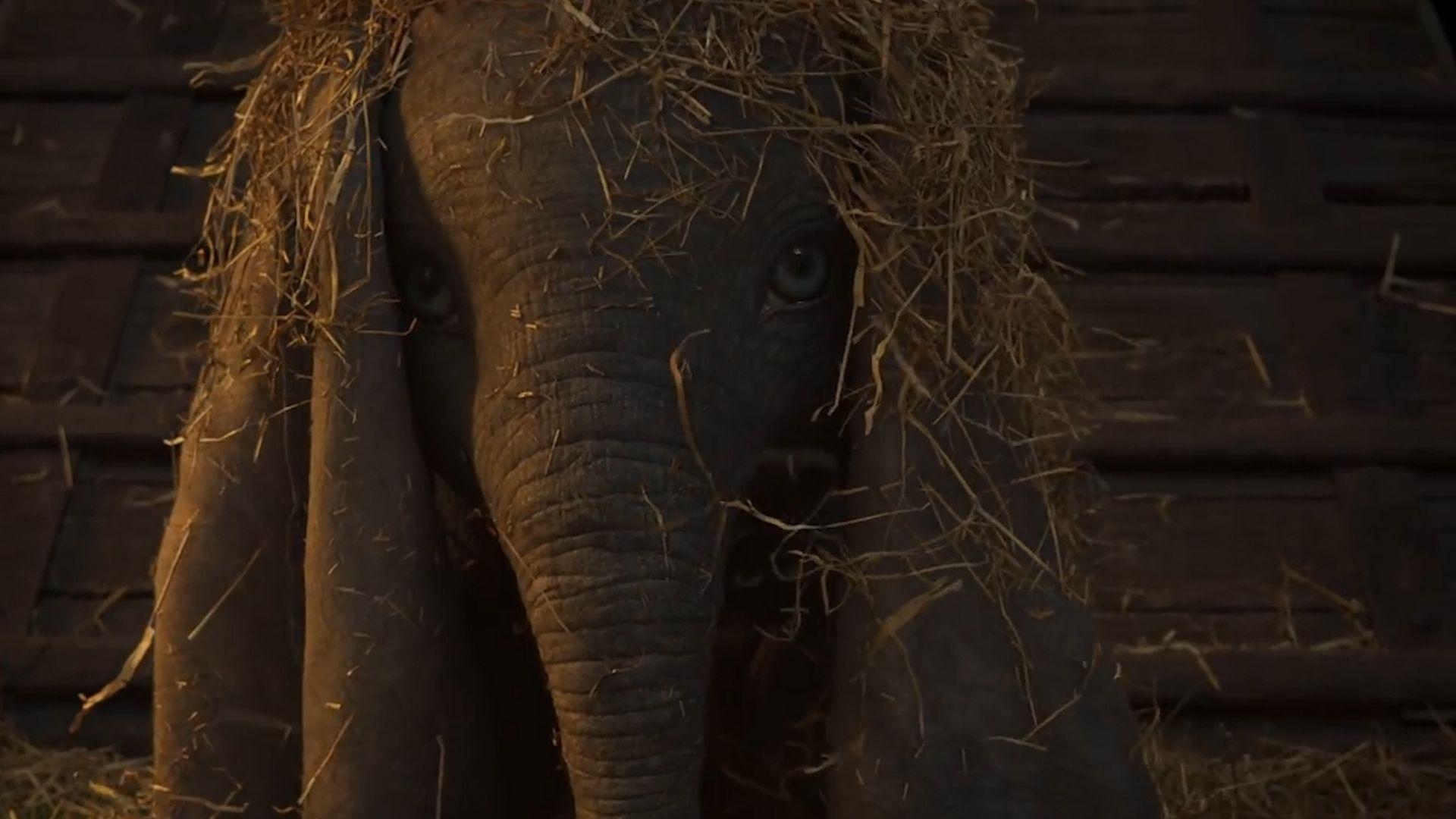 Dumbo' trailer. Watch News Videos Online