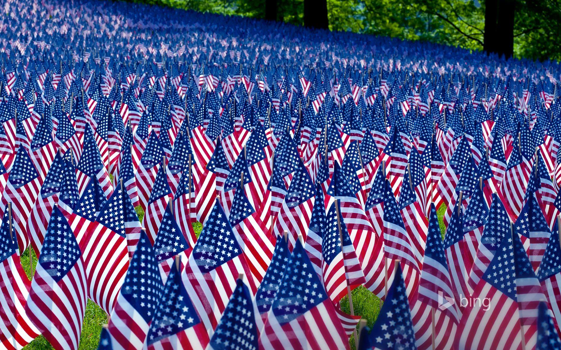 Field of flags displayed for Memorial Day, Boston, Massachusetts