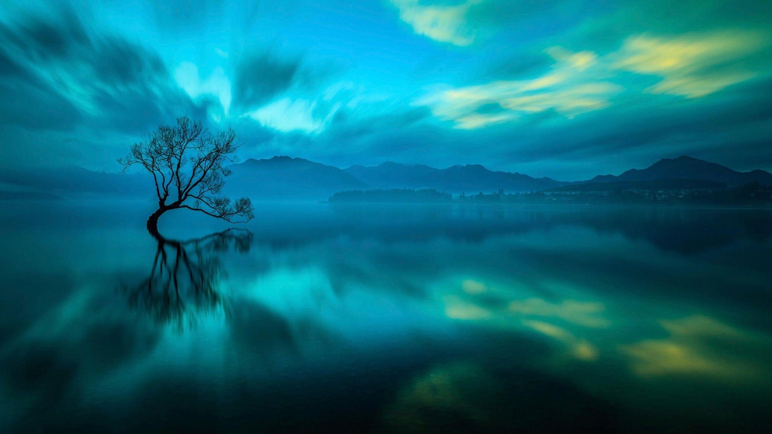 Beautiful Nature Photography 1440P Resolution HD 4k