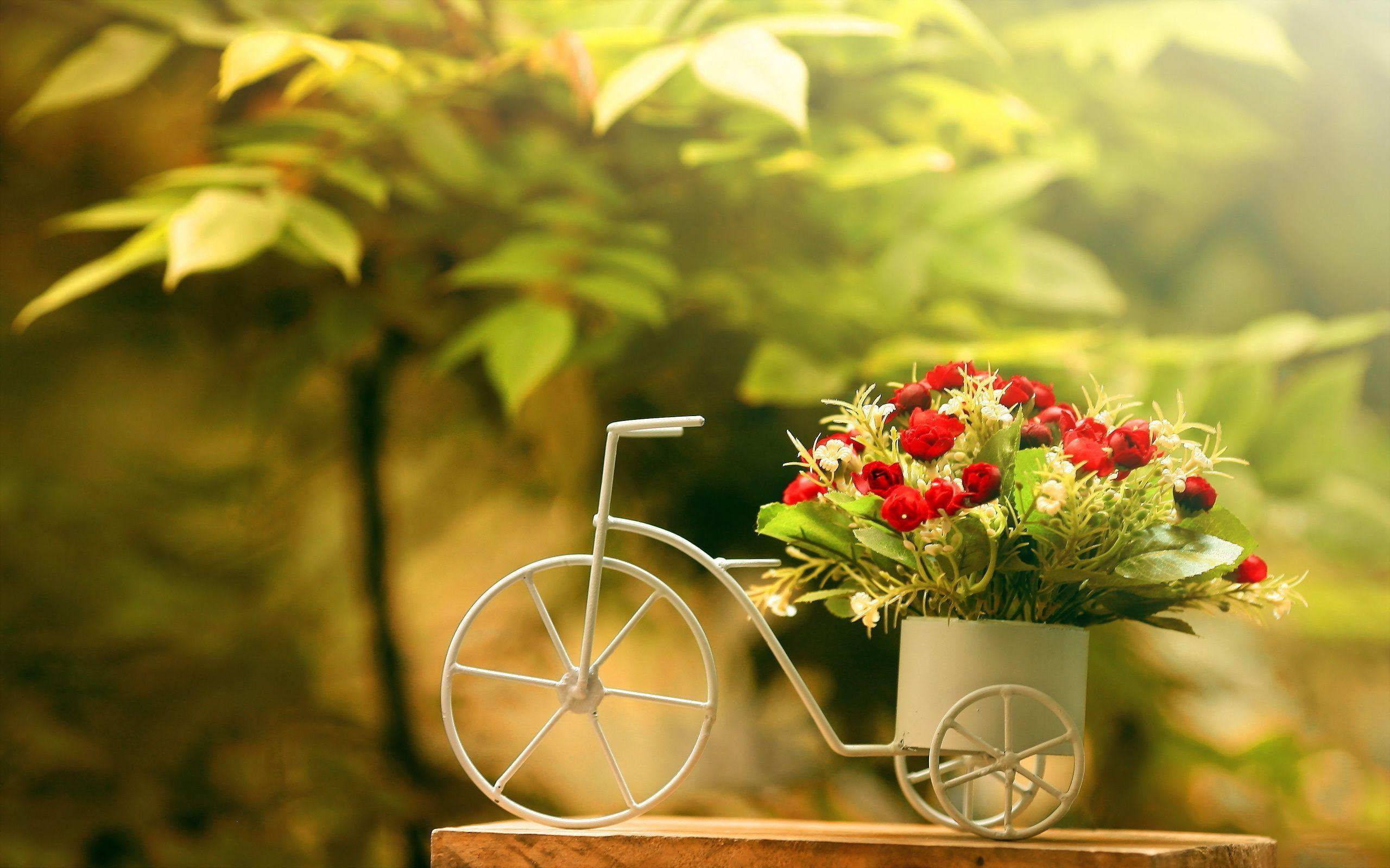Bike flower pot. Interior. Floral