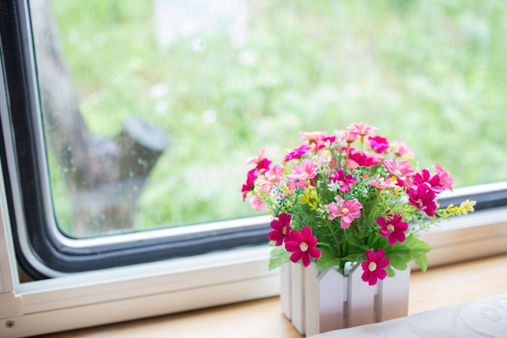 flower pink pot the window sill window HD wallpaper