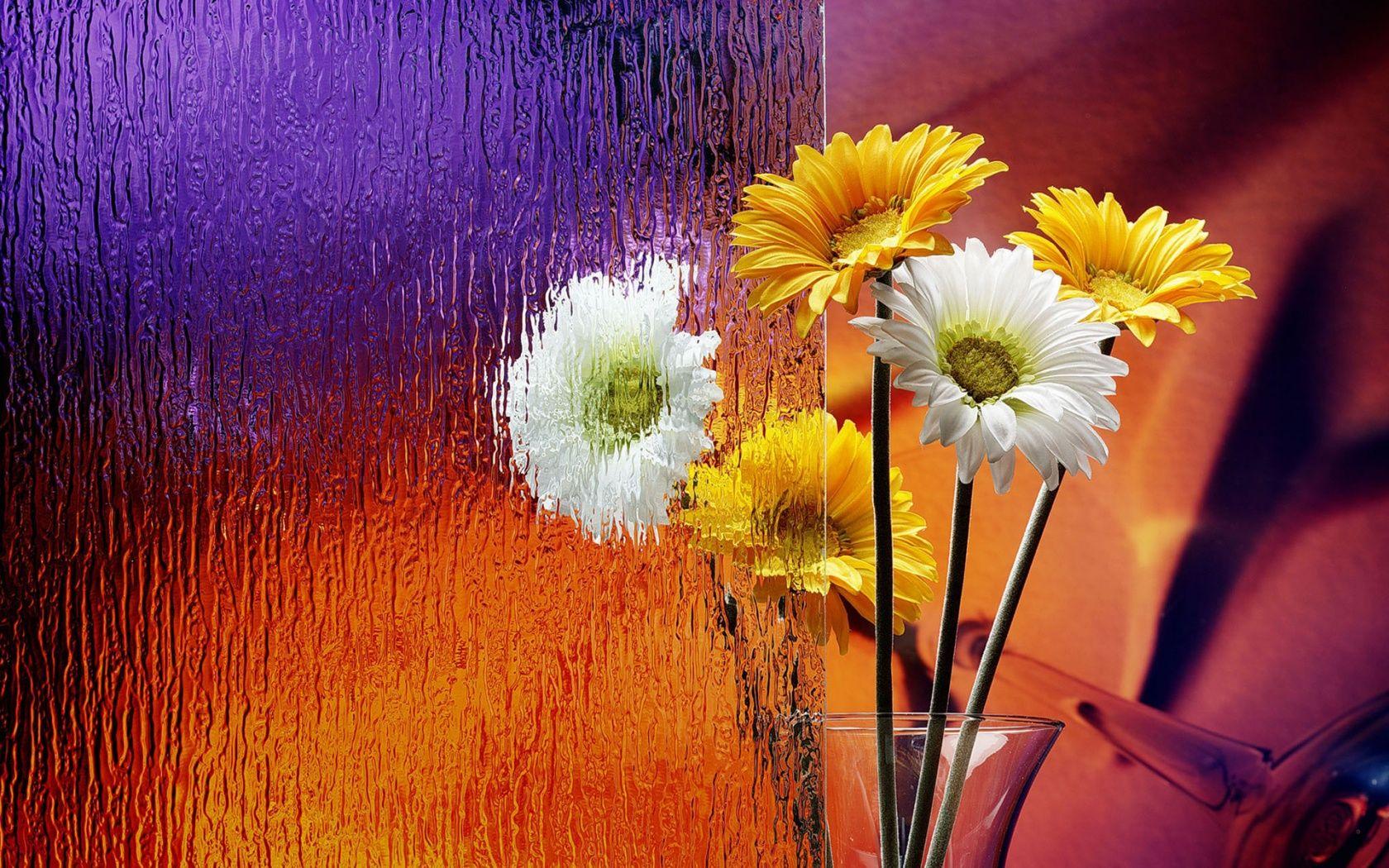 Flowers Flowerpot Frosted Glass wallpaperx1050