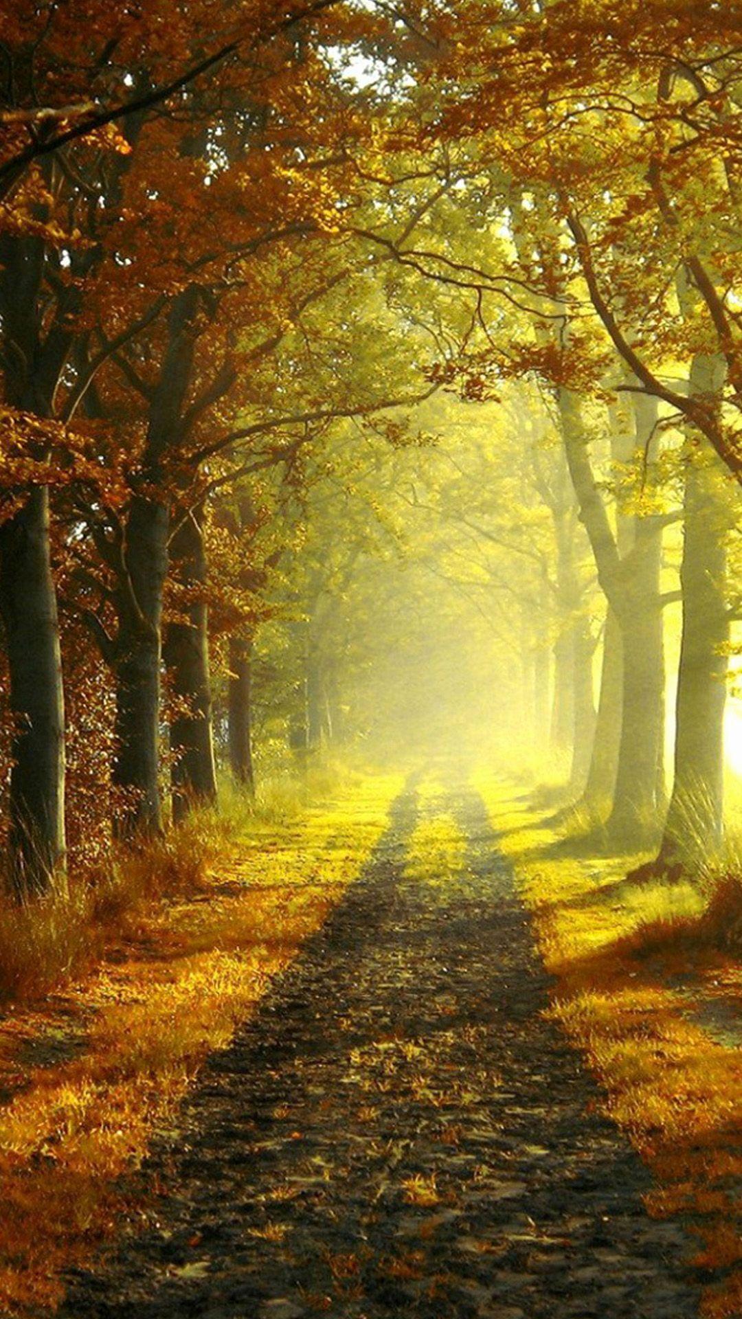 Cross Country Wallpapers - Wallpaper Cave