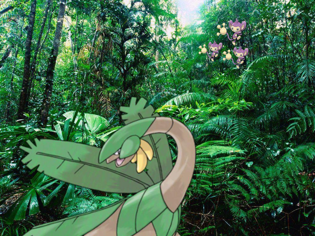 Pokemon around the world in a rainforest