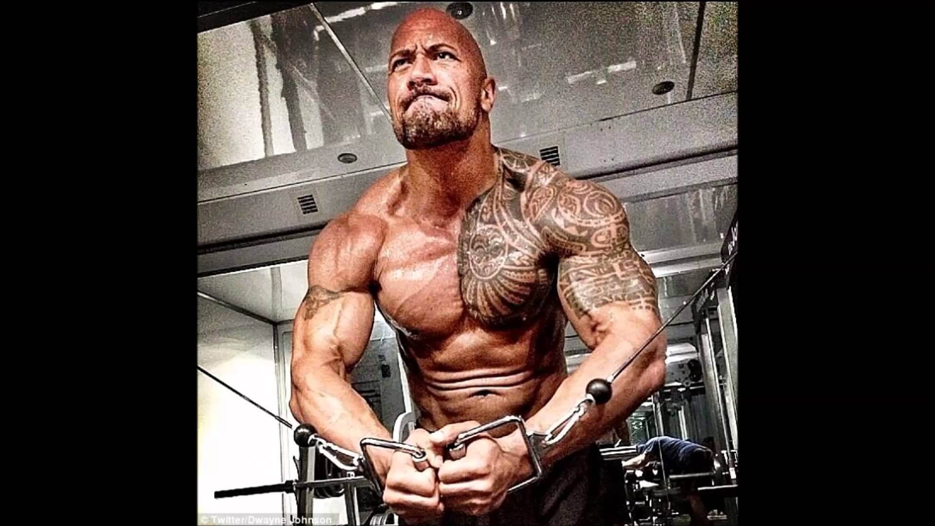 Dwayne Johnson Workout And Diet That Made Him Hercules