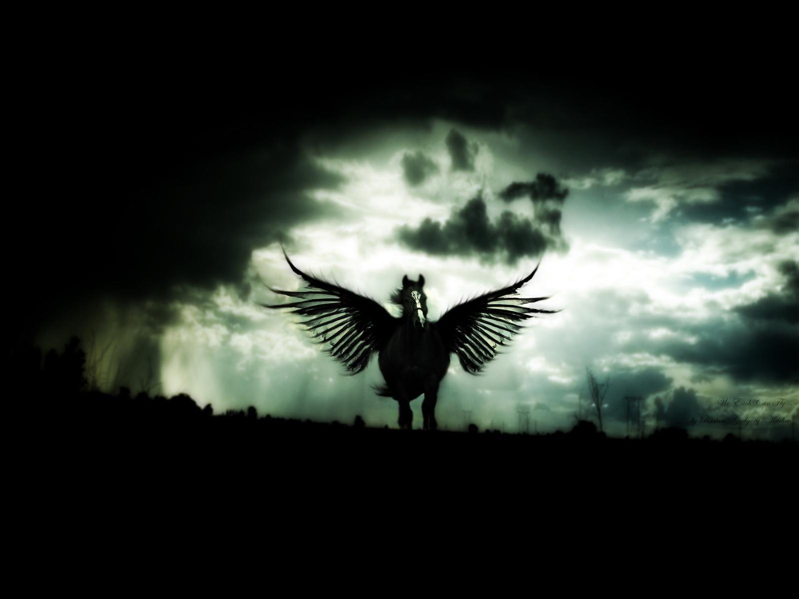 Pegasus Wallpaper, Fantasy Art, Picture & Image