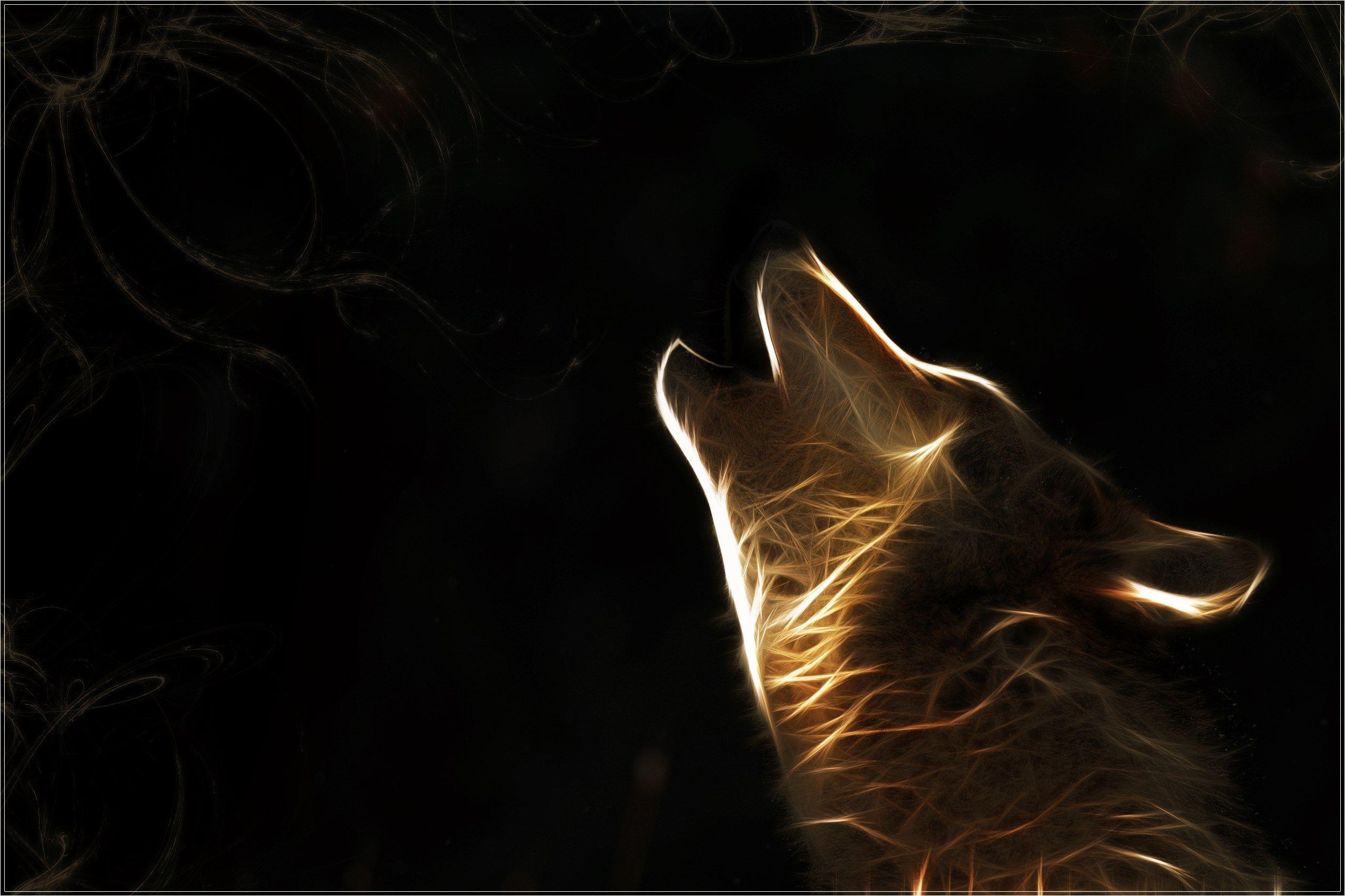 fantastic wolves wallpaper