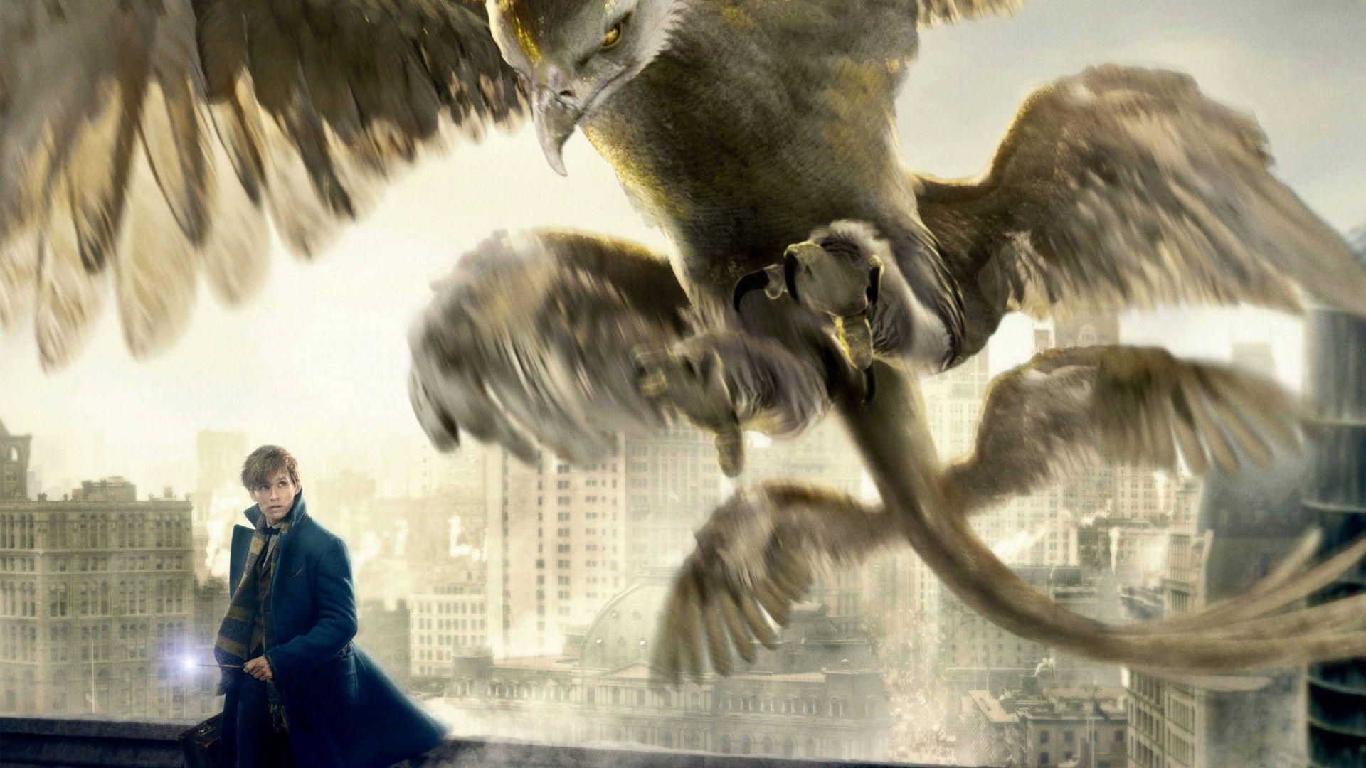 Thunderbird Fantastic Beasts And Where To Find Them Wallpaper