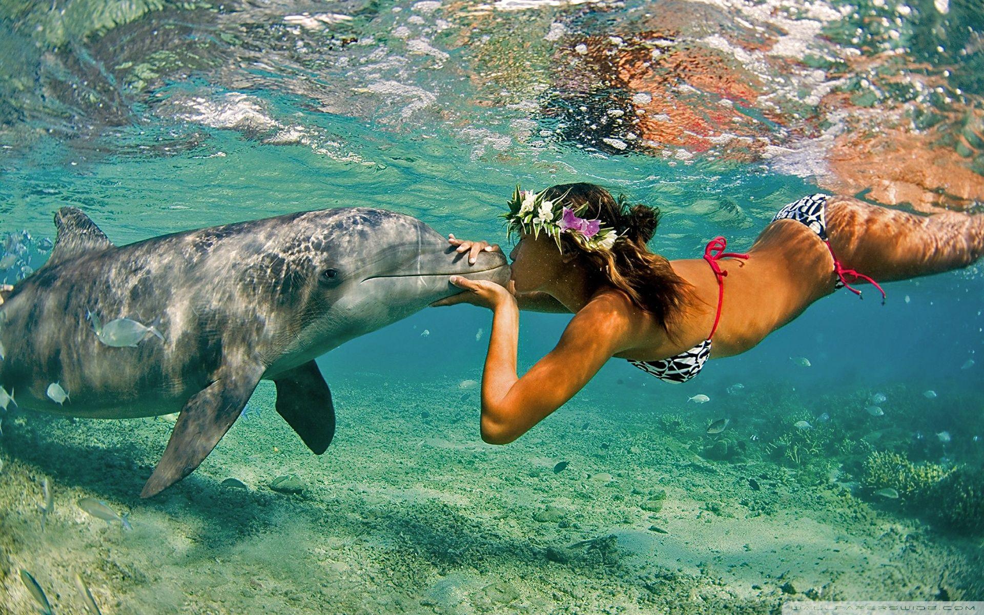 Tropical Destination ❤ 4K HD Desktop Wallpaper for 4K Ultra HD TV