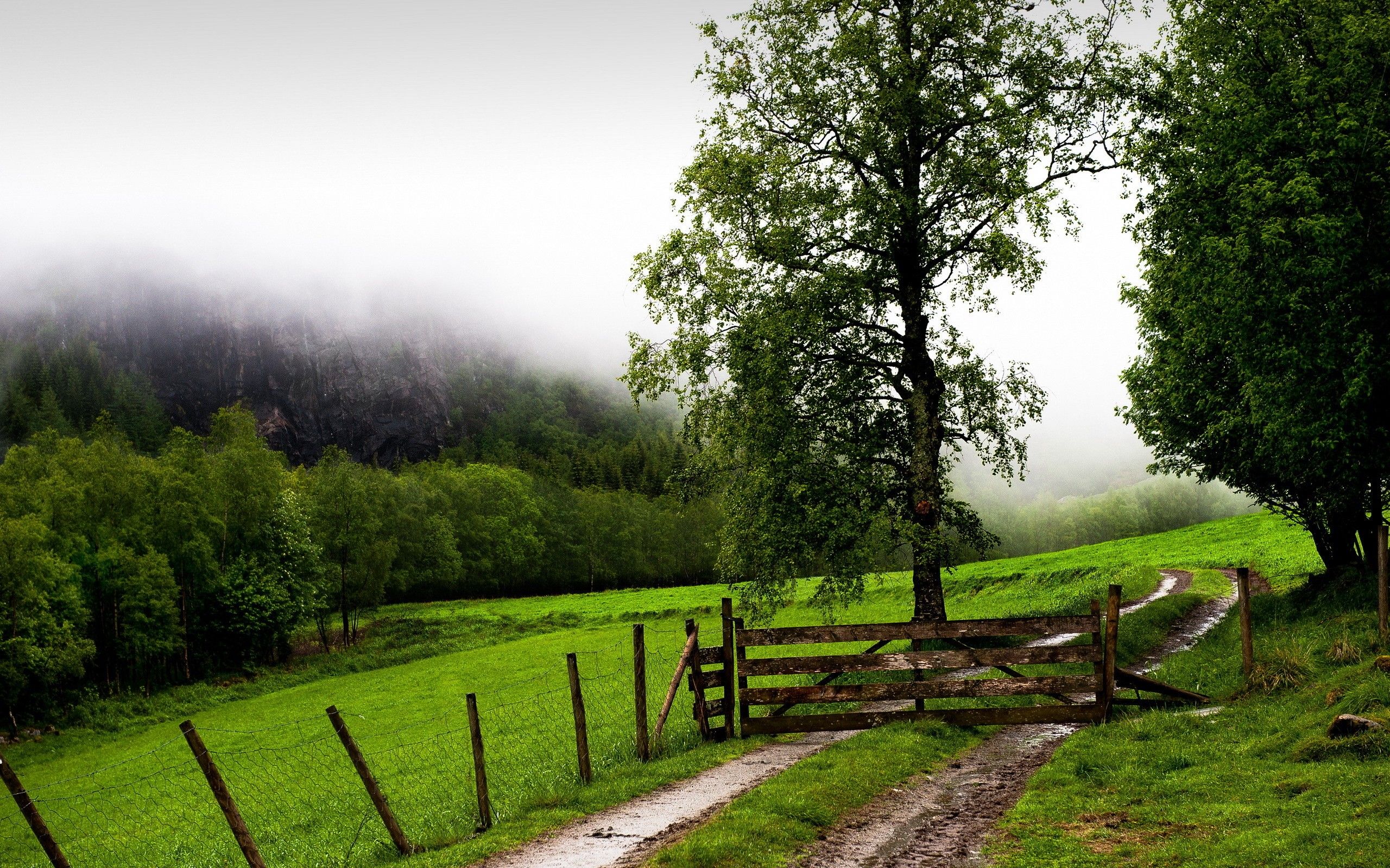 Daily Wallpaper: Foggy Ranch. I Like To Waste My Time
