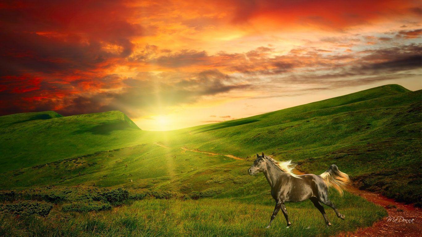Lovely Ranch HD Wallpaper, For Free Download