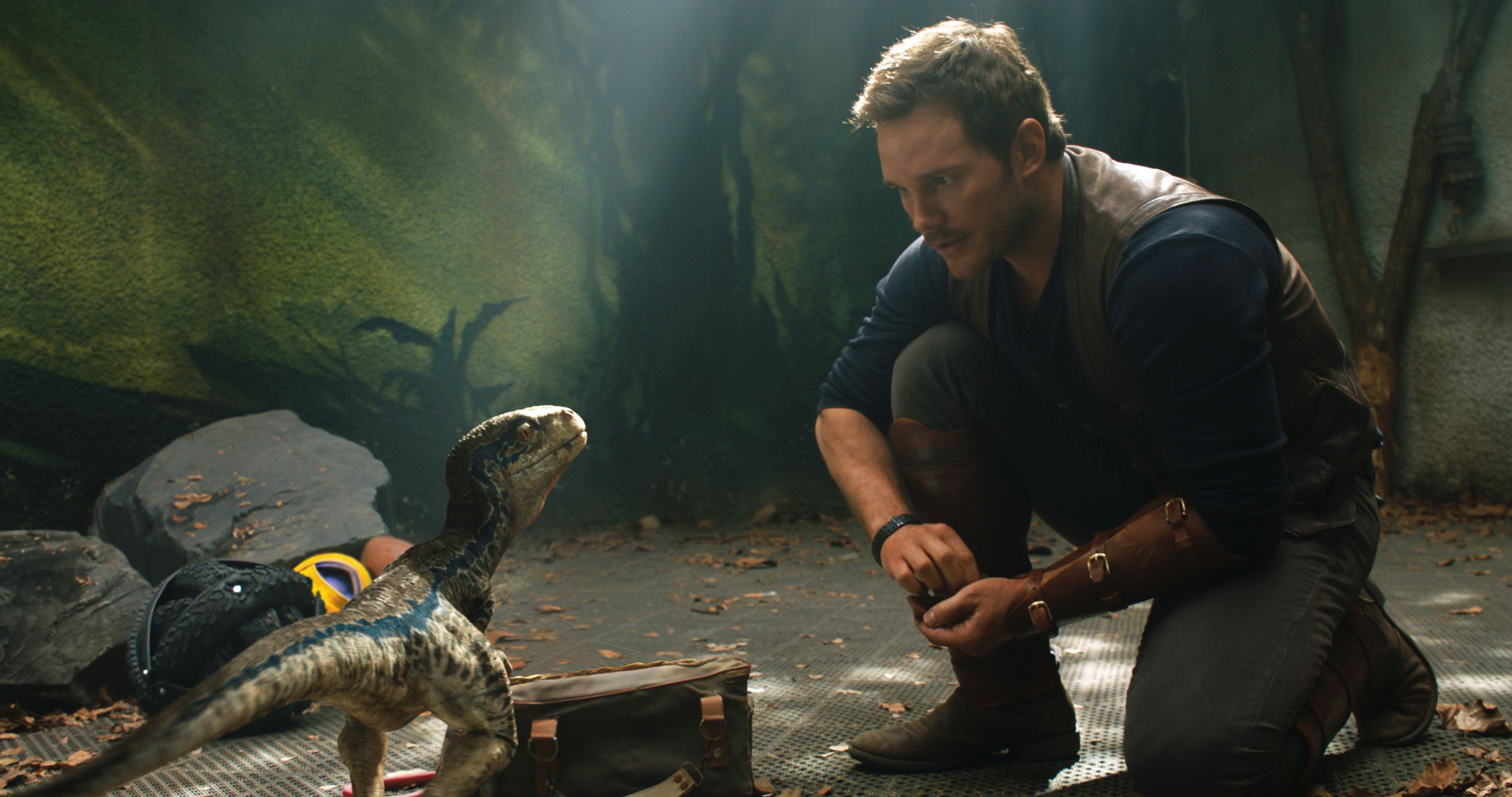 Chris Pratt And Little Raptor Jurassic World Fallen Kingdom 5k, HD
