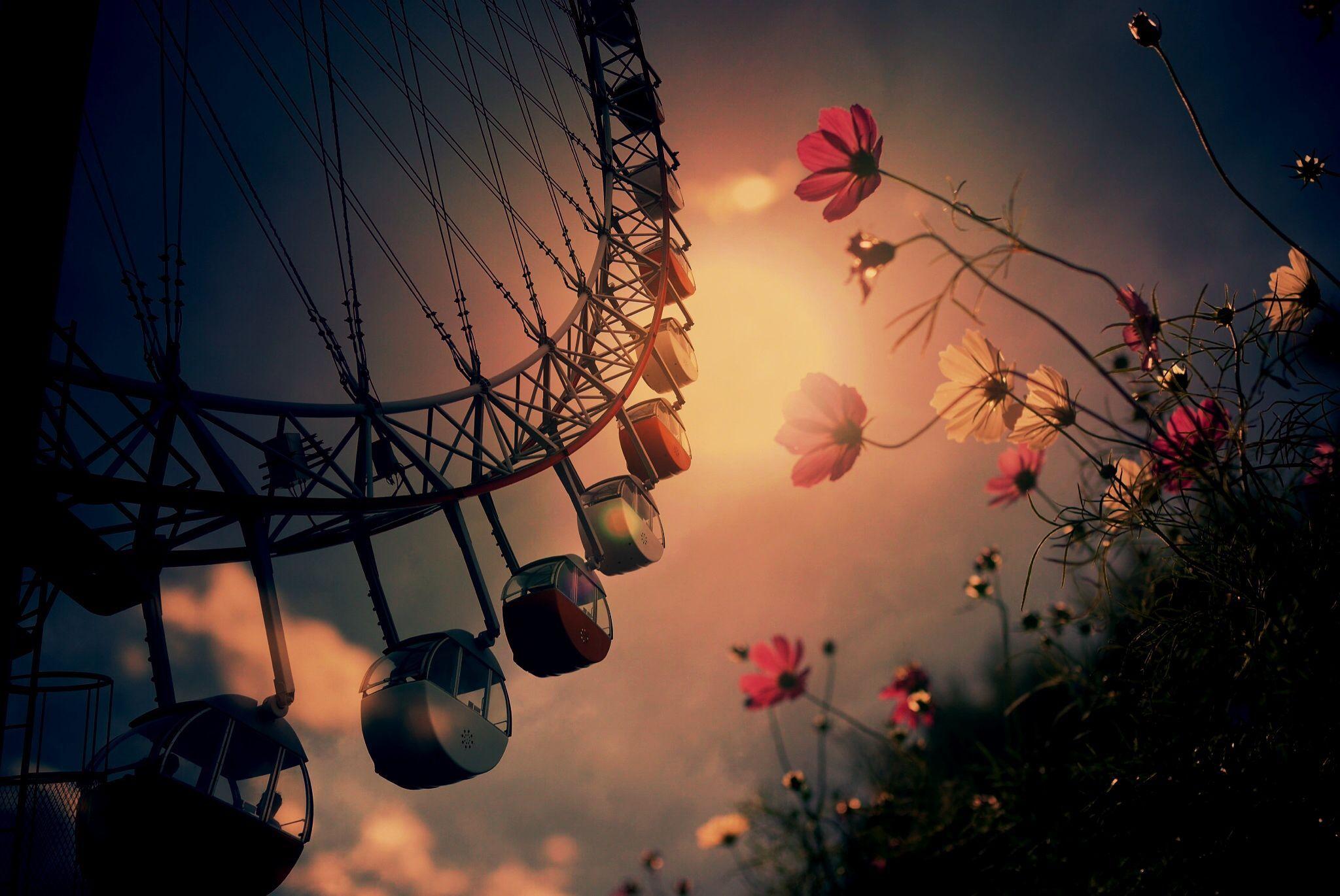 Ferris Wheel HD Wallpaper and Background Image