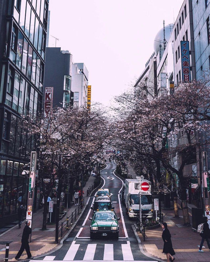 Japan Street Photography Shots That Capture The Rarely