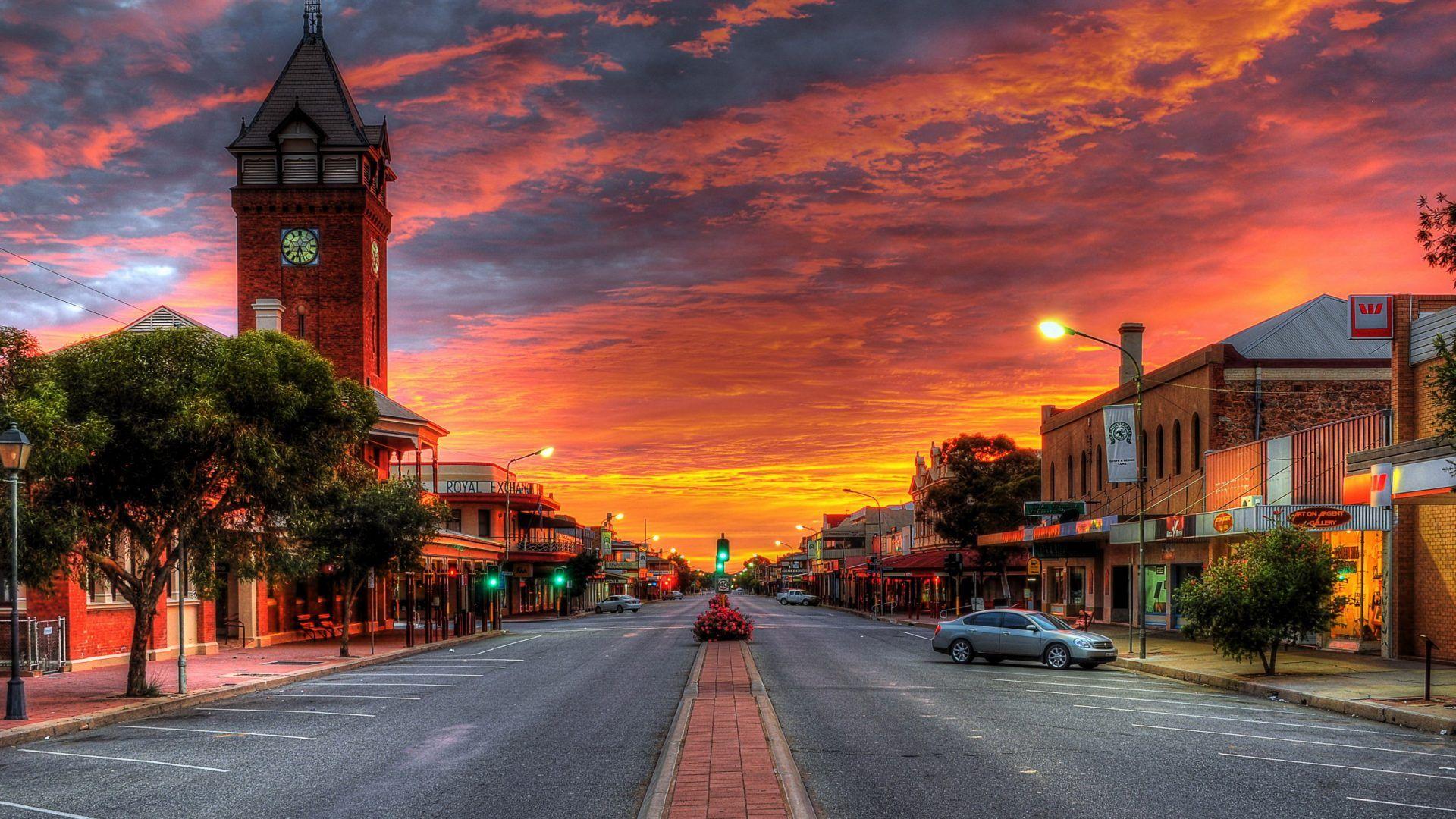 wallpaper: White Flower Vitoria Regia Jardim
