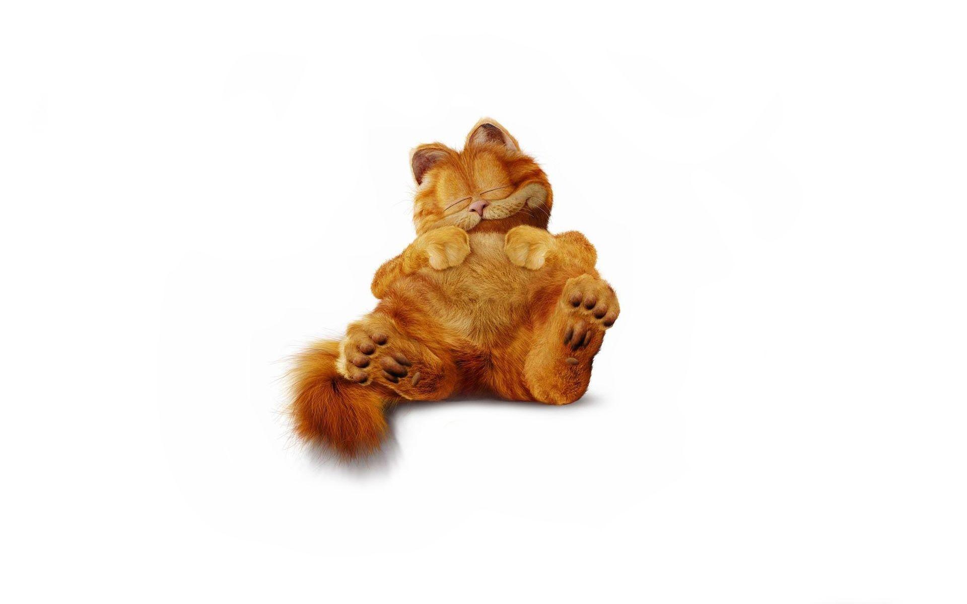 Garfield furry cat minimalist wallpaperx1200