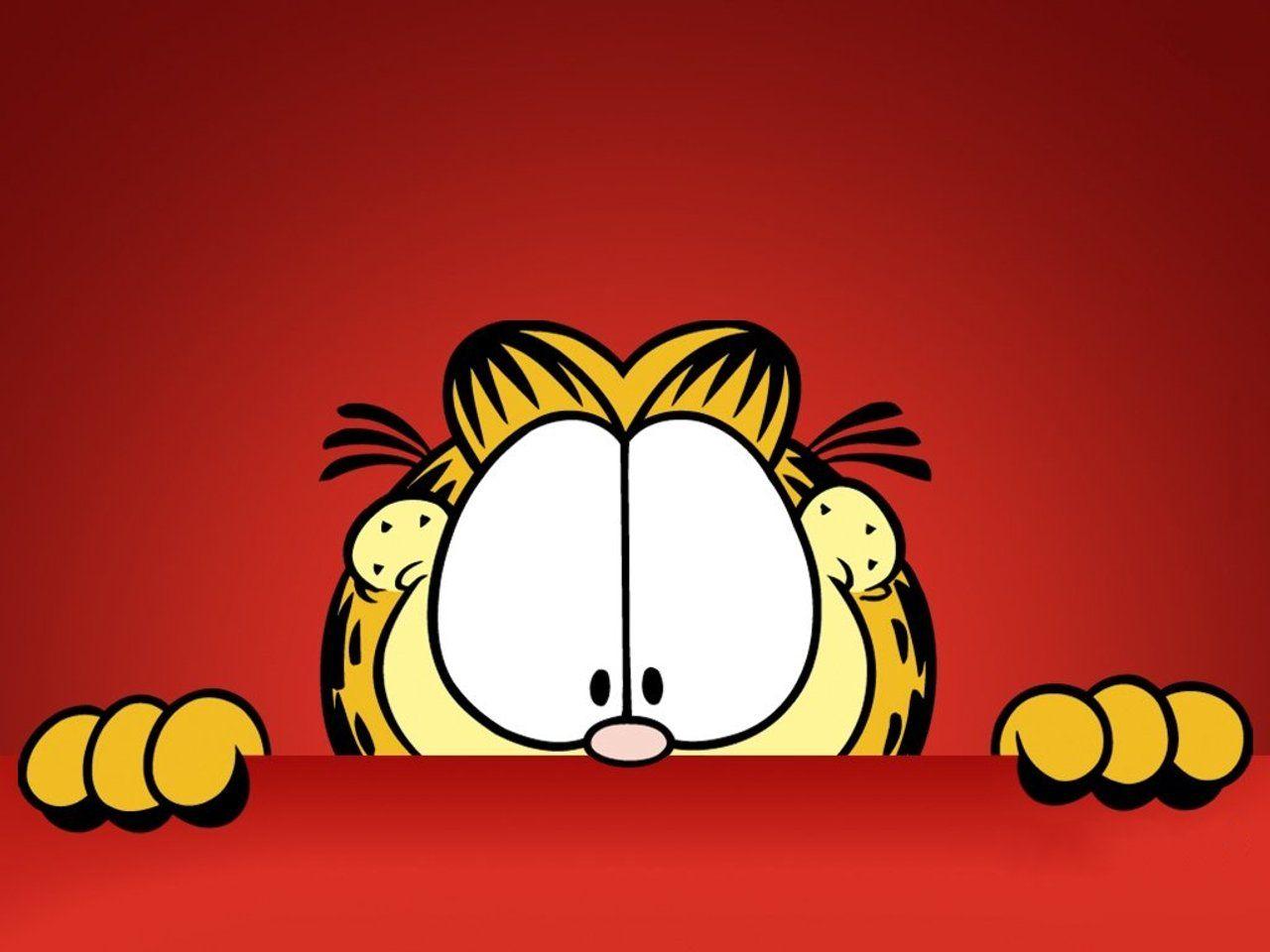 Garfield Cat Wallpaper 61369 1280x960 px