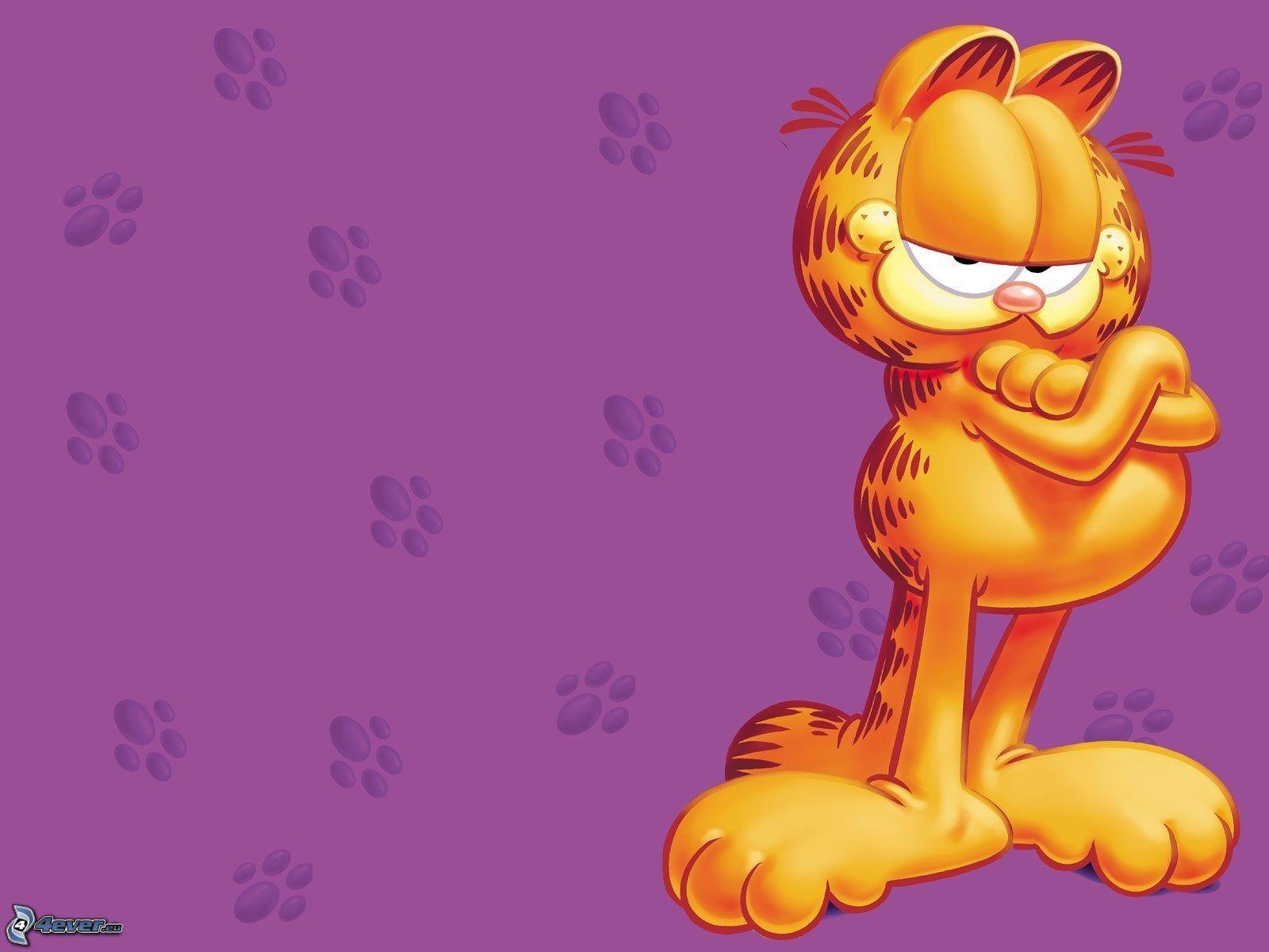 Garfield The Cat Wallpapers - Wallpaper Cave