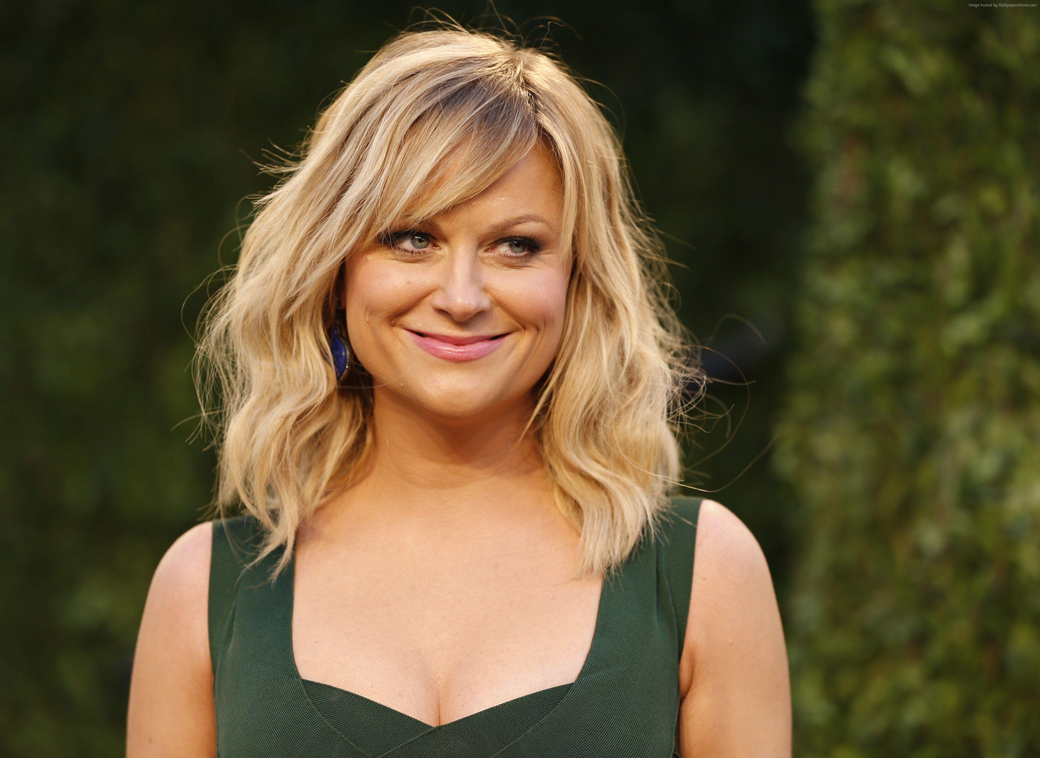 Wallpaper Amy Poehler, 4k, photo, Celebrities