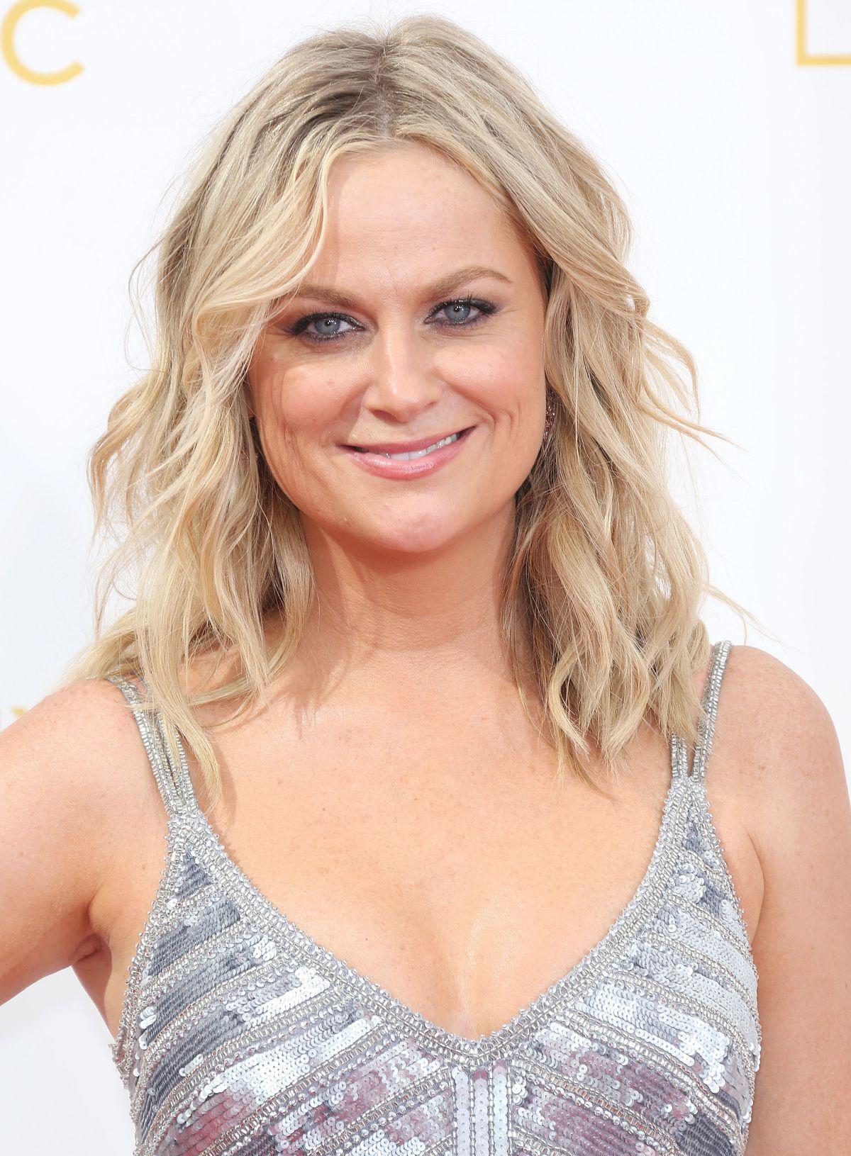 Wide HD Amy Poehler Wallpaper. FLGX HD.2 KB