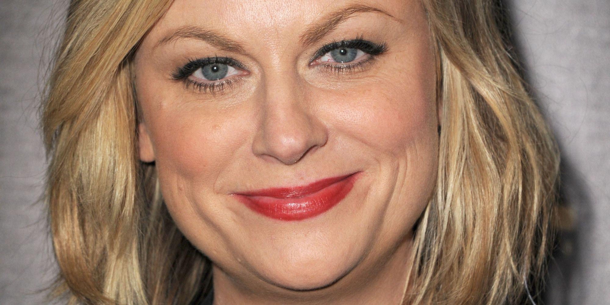 Amy Poehler's Brother Sells 'Welcome To Sweden' To NBC