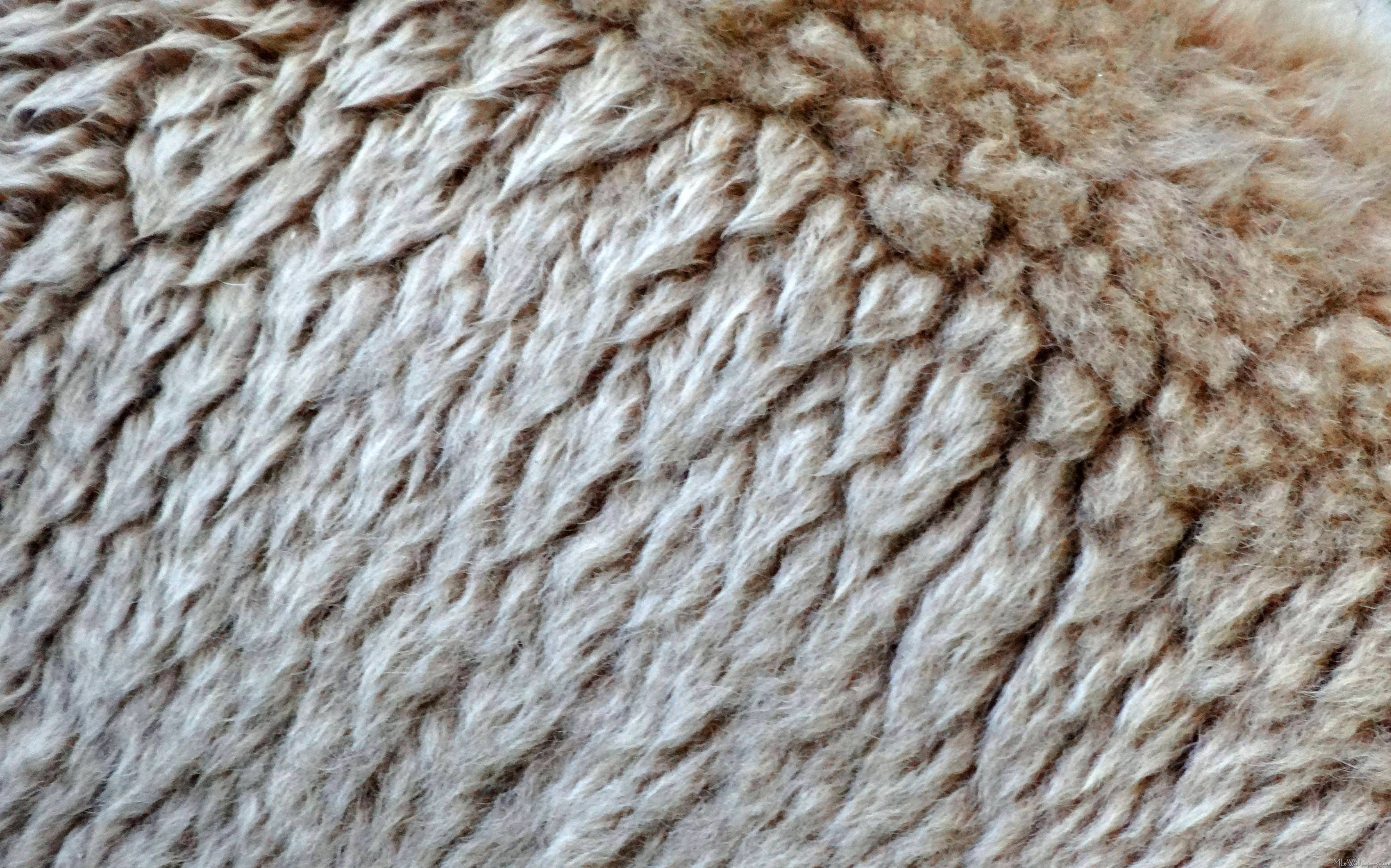 MLe's Wool