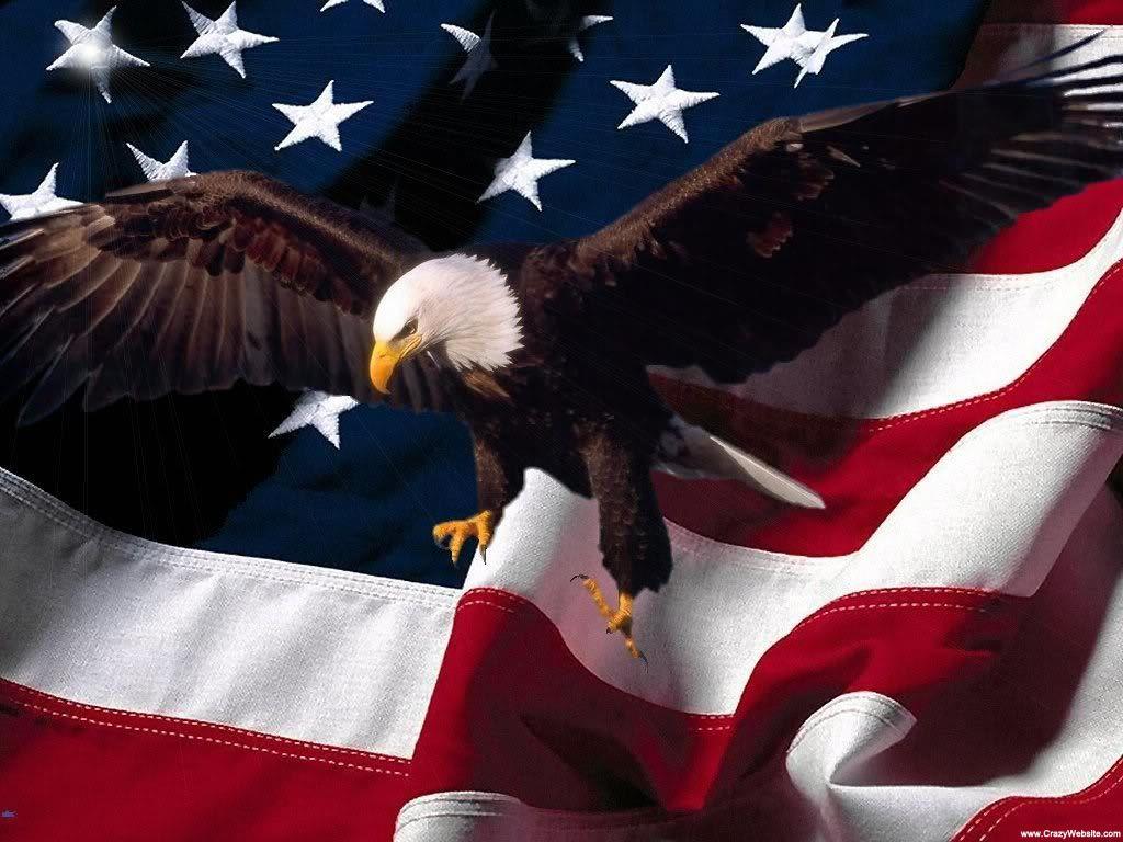picture of eagles with american flag. Eagle and American flag