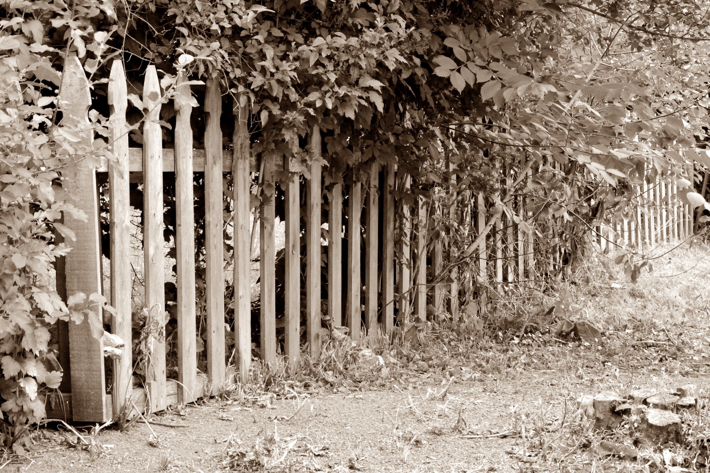 Other: Yesteryear Vintage Antique Memories Fence Old Wide Resolution