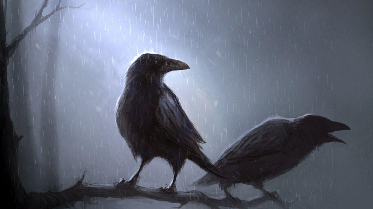 the crow wallpaper