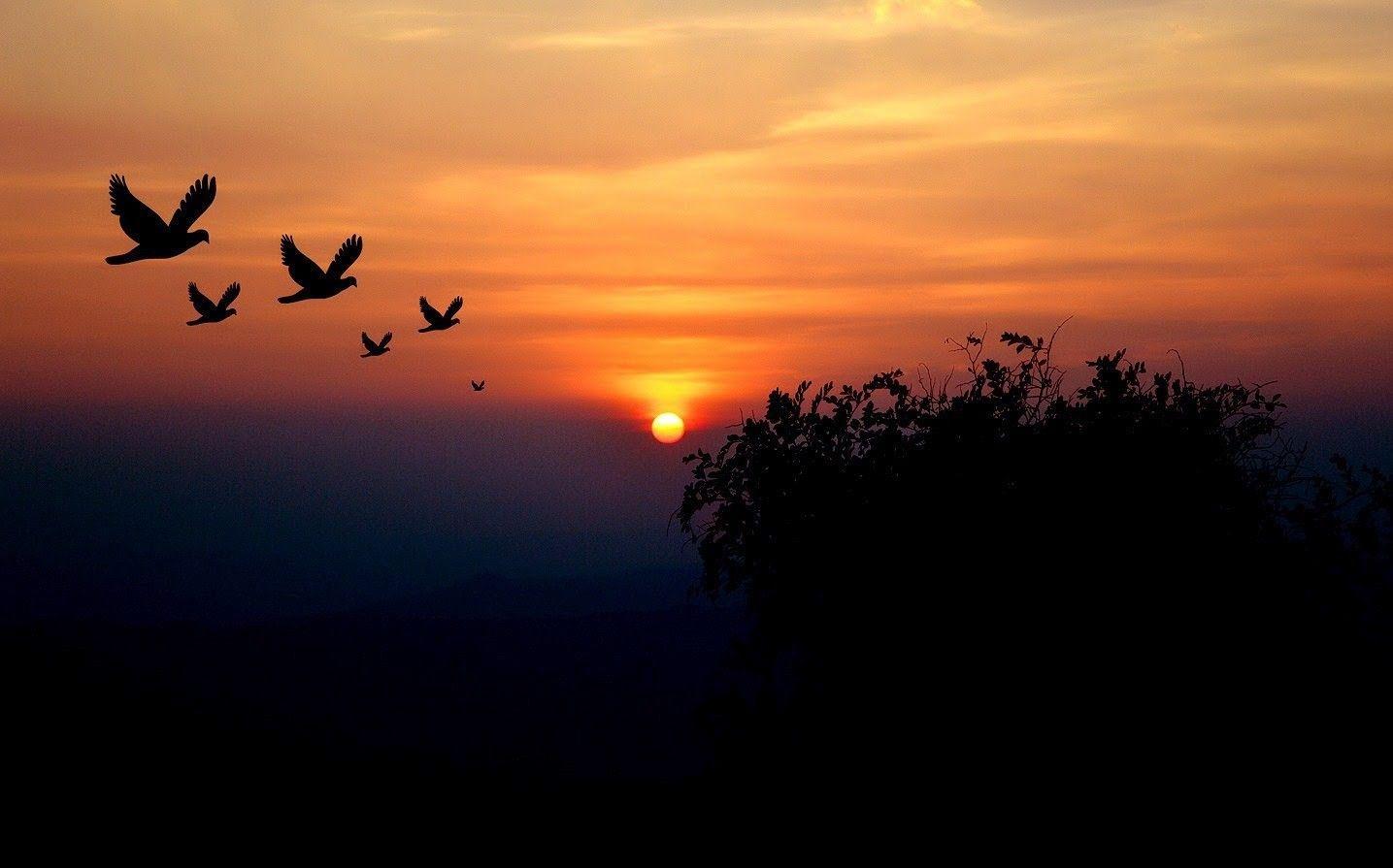 Free Hd Good Evening Beautiful Sky Sunset Wallpaper Download PIC