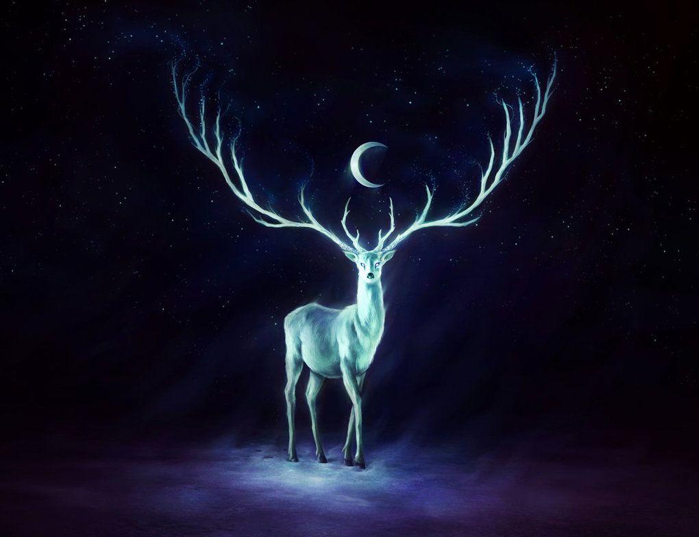 Expecto Patronum Wallpapers - Wallpaper Cave