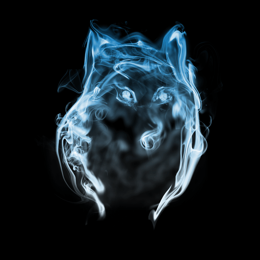 Wolf face Patronus. Beautiful Background. Wolf, RPG