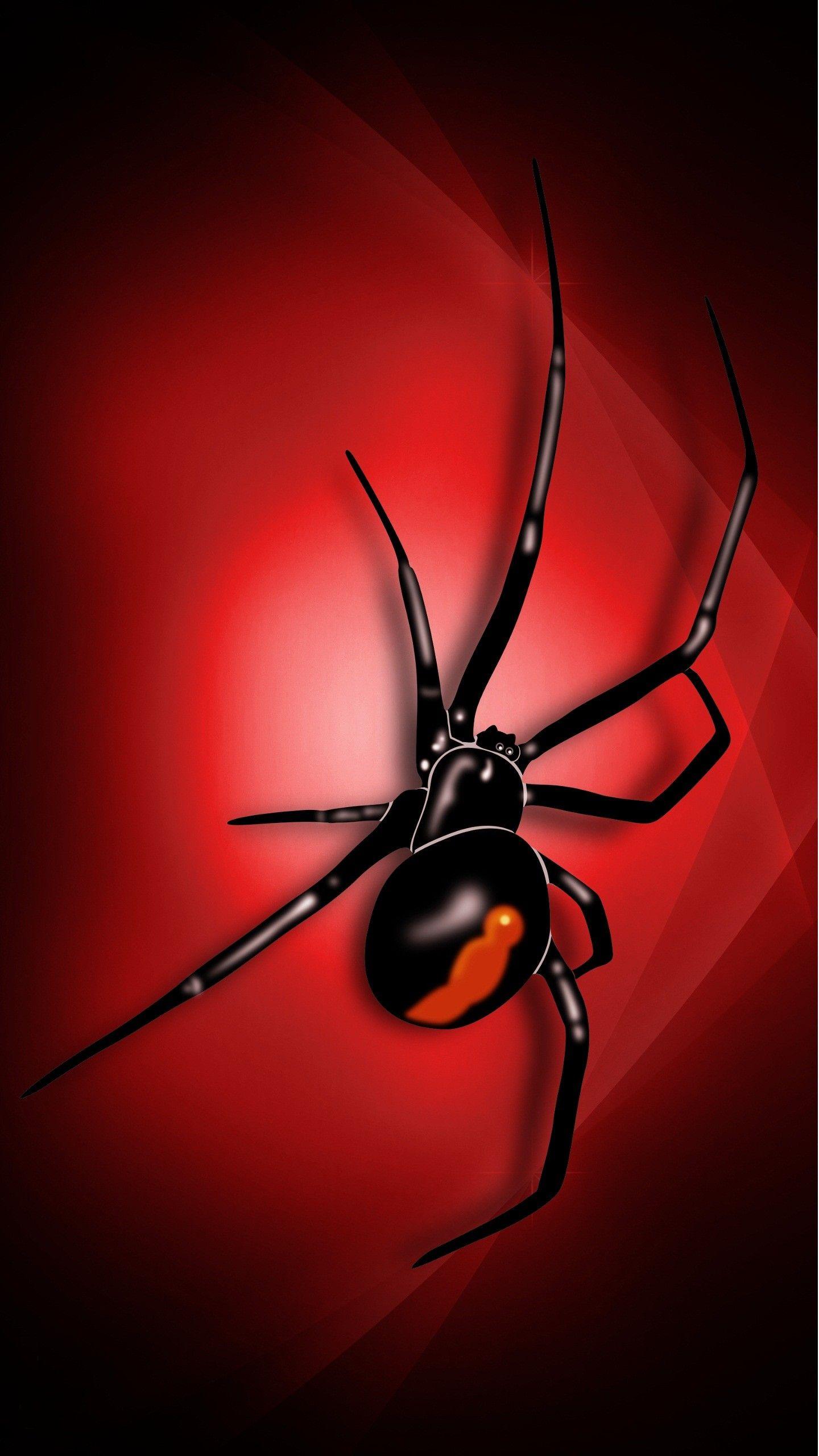 Black Widow Spiders Wallpapers - Wallpaper Cave