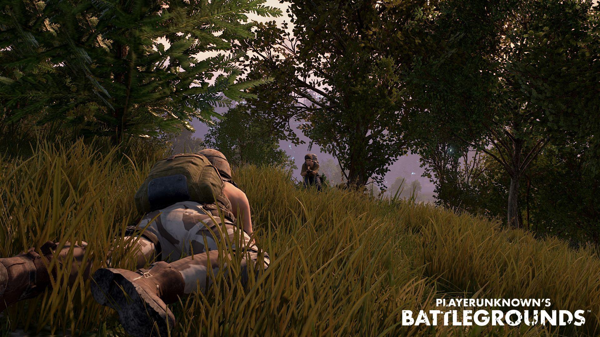 PUBG For PC Wallpapers - Wallpaper Cave