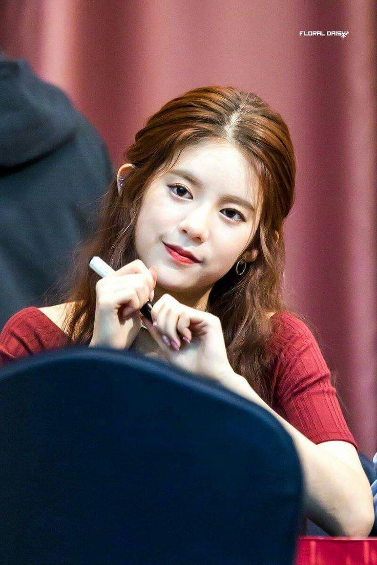 best MOMOLAND image. Bellis perennis, Daisies