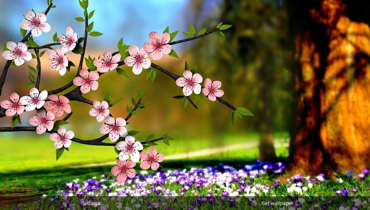 Latest 3D Flowers Image HD Picture Wallpaper PC