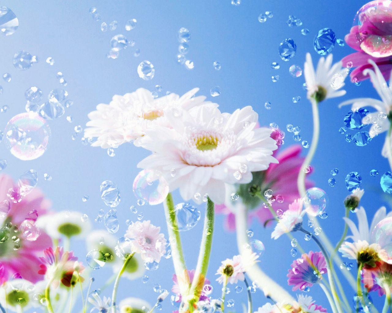 Latest Flower Wallpaper Download 3D Online Wallpaper Online Flower