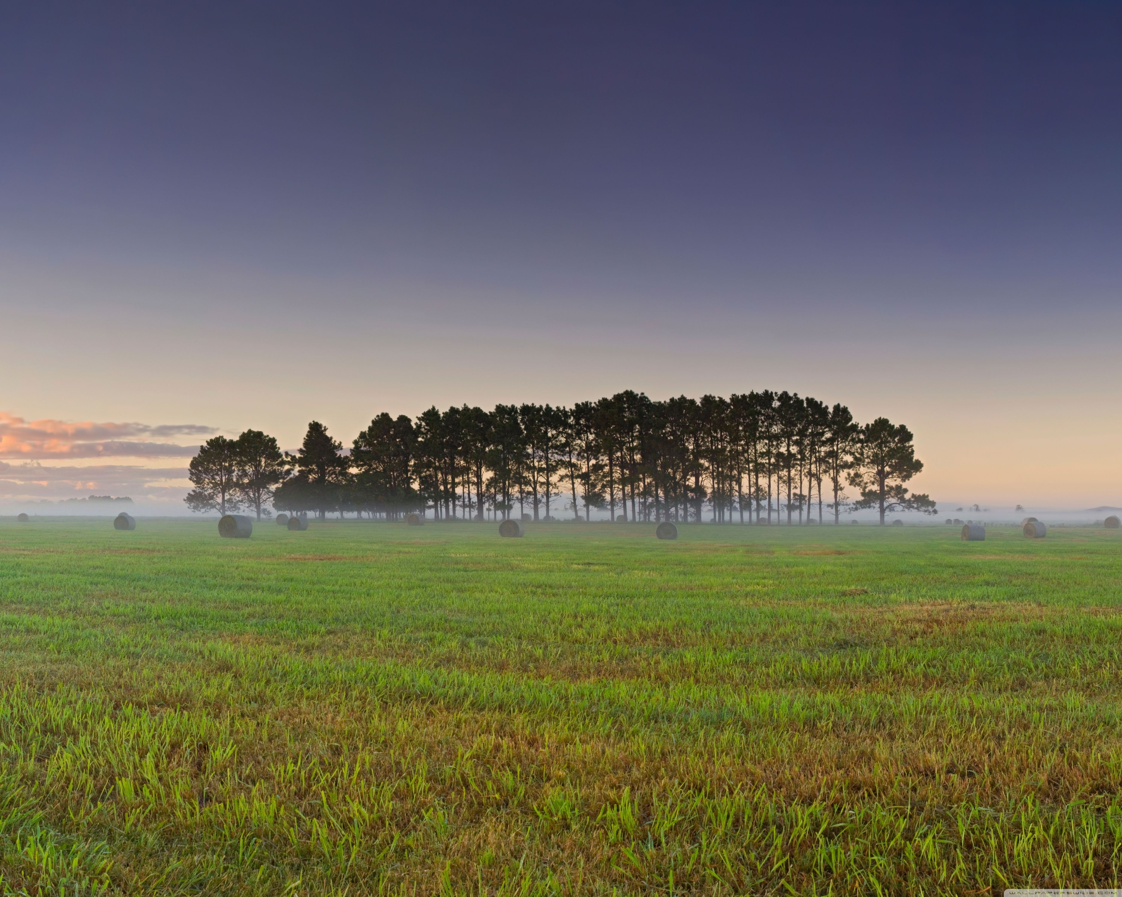 Sunrise Over Crop Field ❤ 4K HD Desktop Wallpapers for 4K Ultra HD