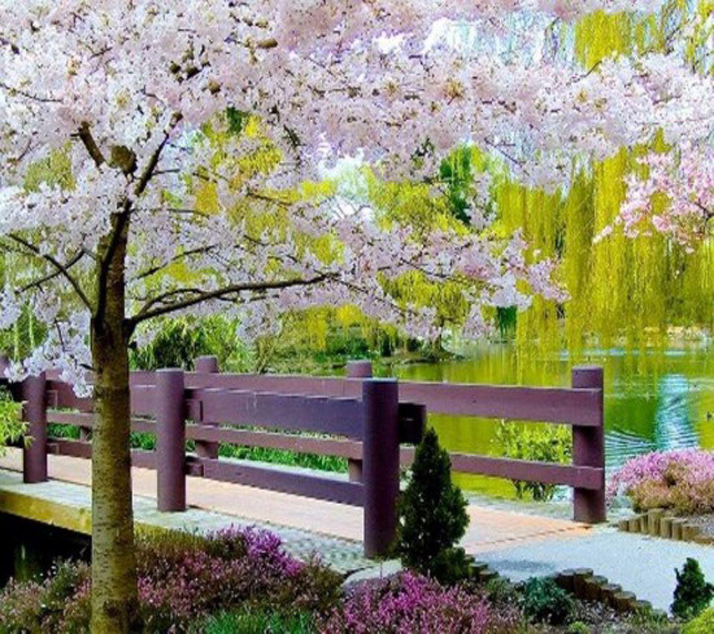 Beautiful Nature Wallpaper