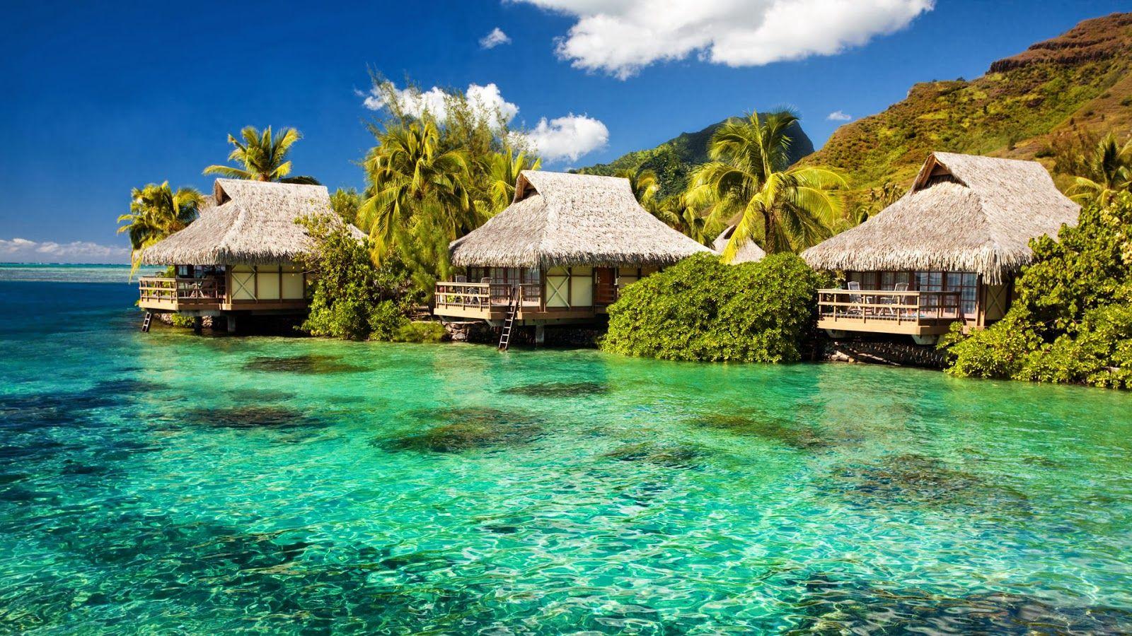 Free Download Latest HD Wallpaper: Beautiful Nature & Landscapes HD