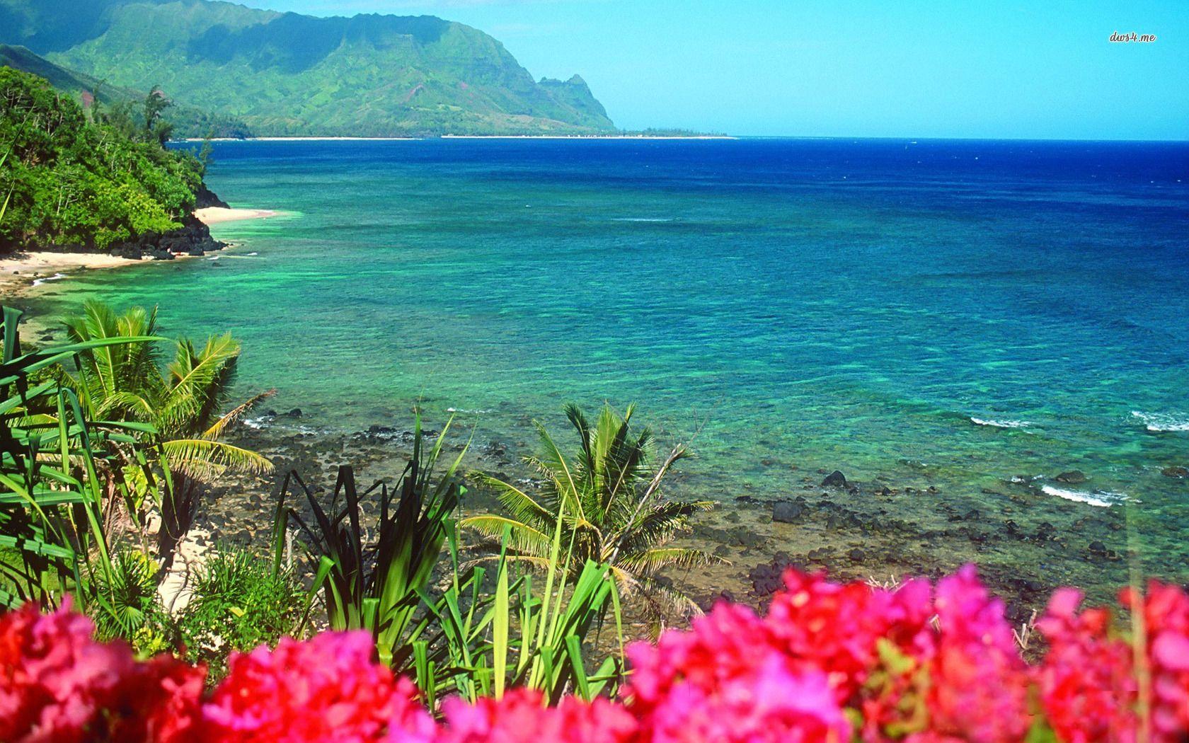 PICZAR: Hawaii Flowers Beach