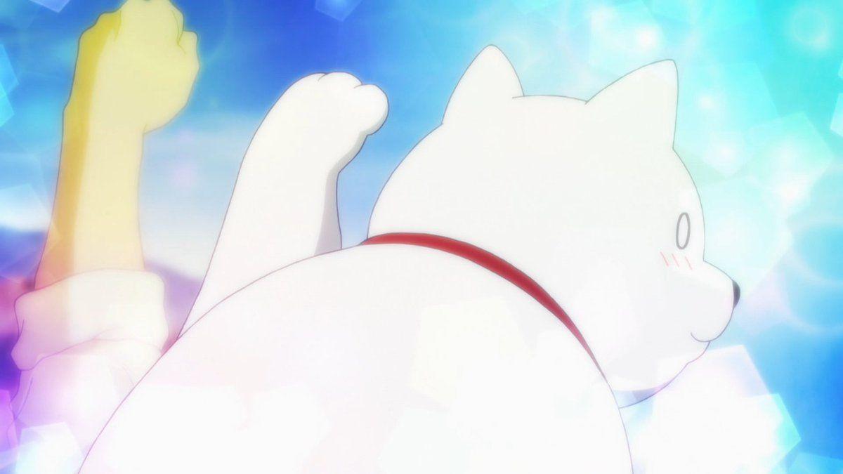 NEIDHARDT this show's got an aho girl, I propose a