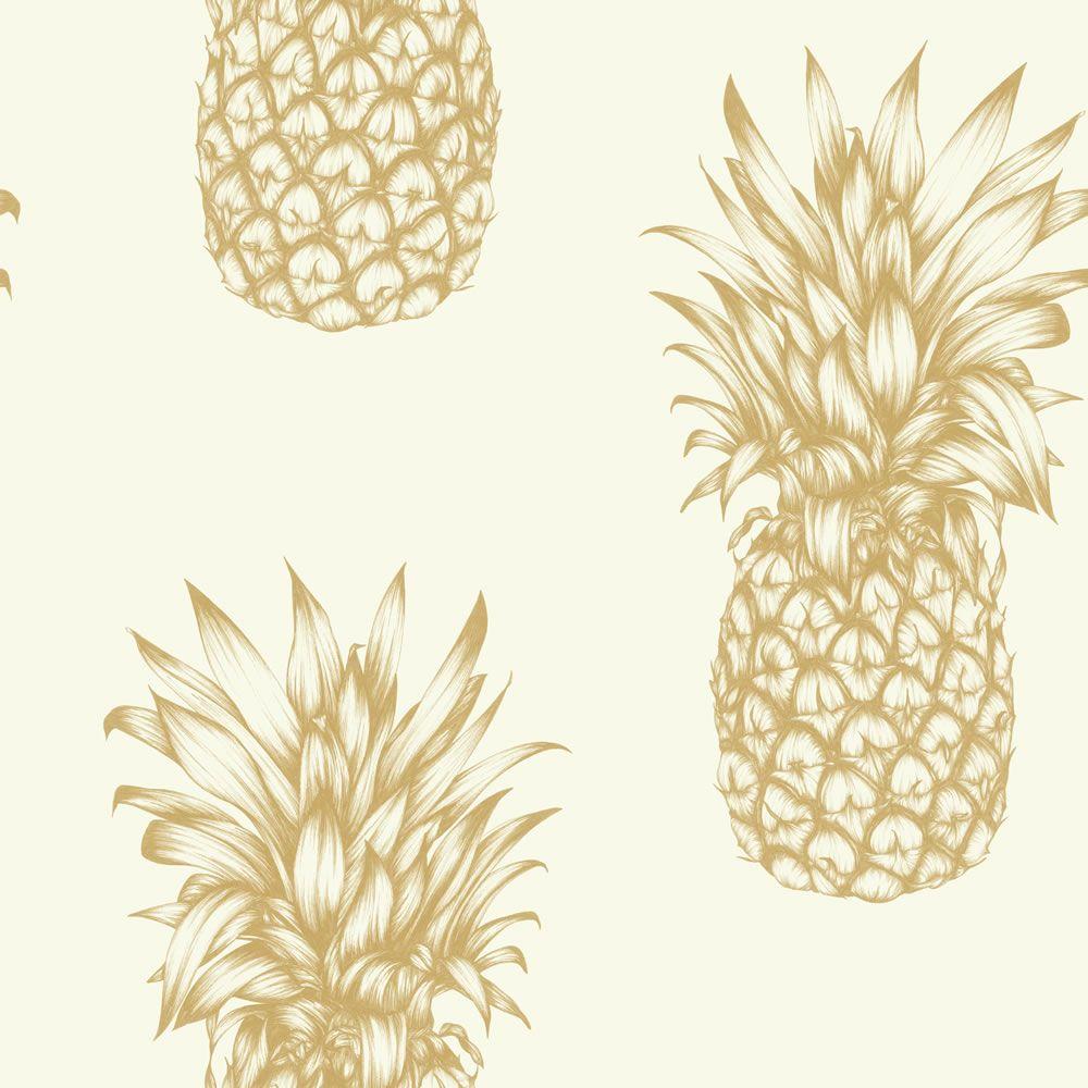 Pineapple Wallpaper (168)