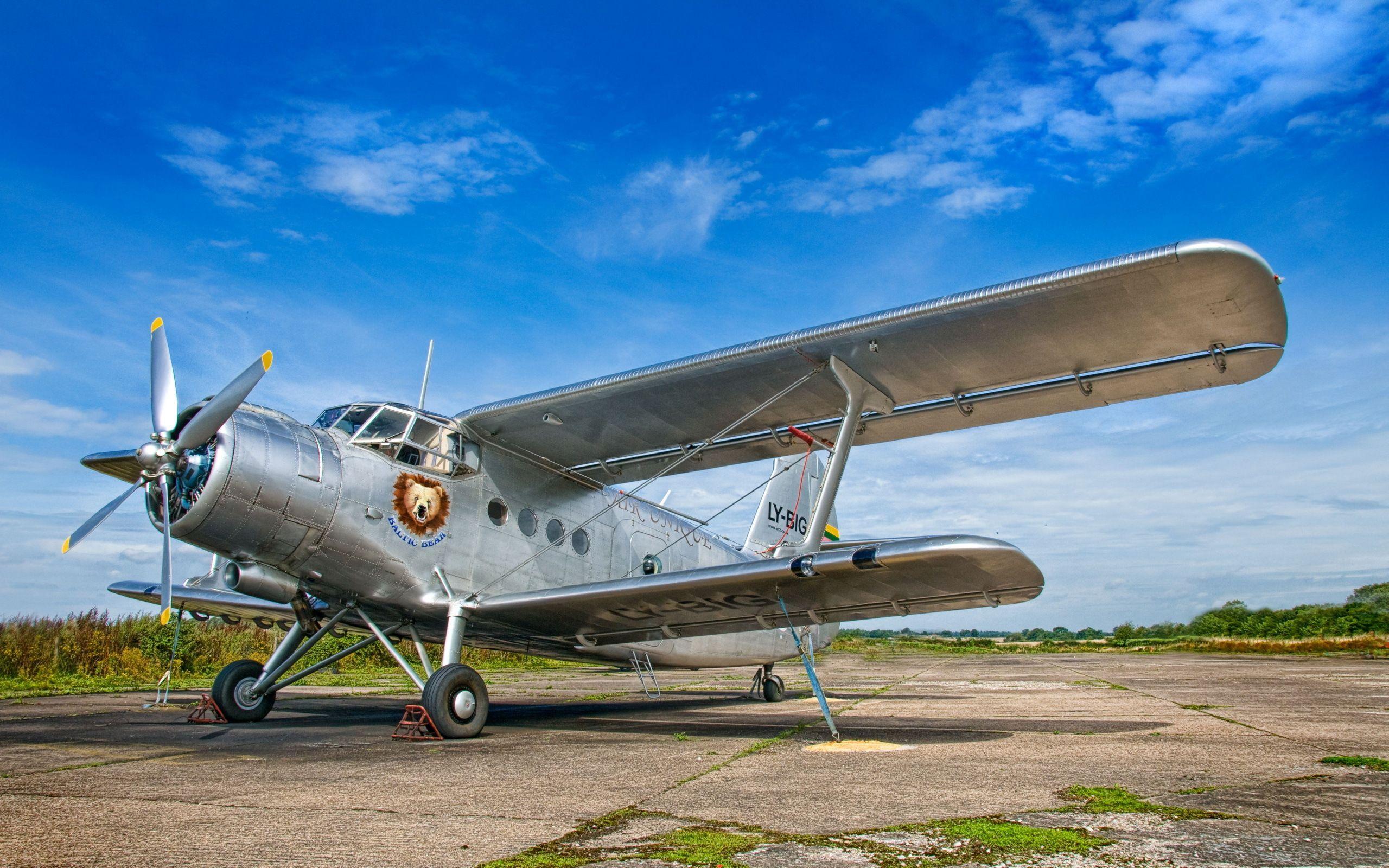 Baltic Bear LY BIG Antonov AN 2 Full HD Wallpaper And Background