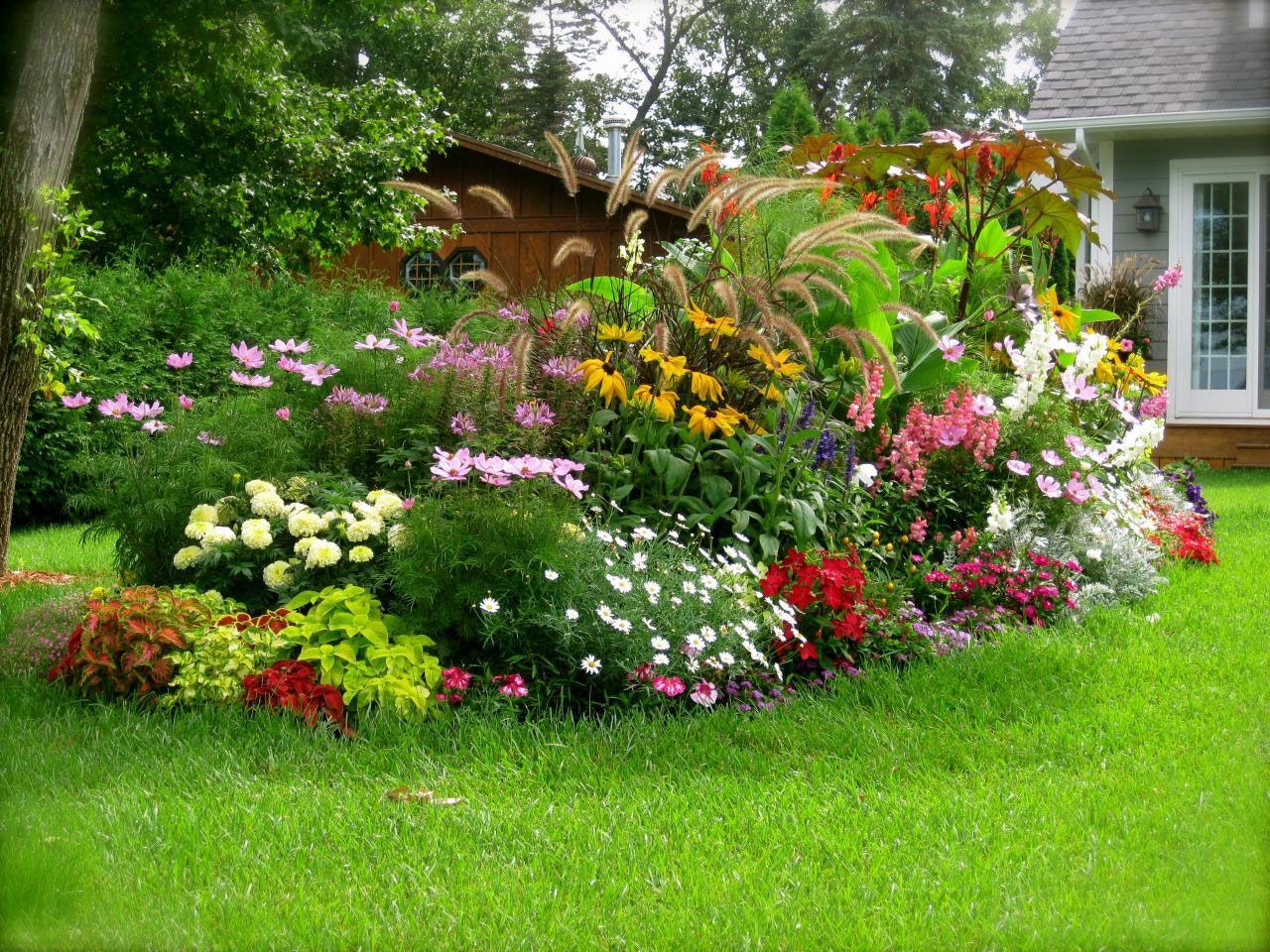 Backyard Flower Garden HD Wallpaper, Background Image