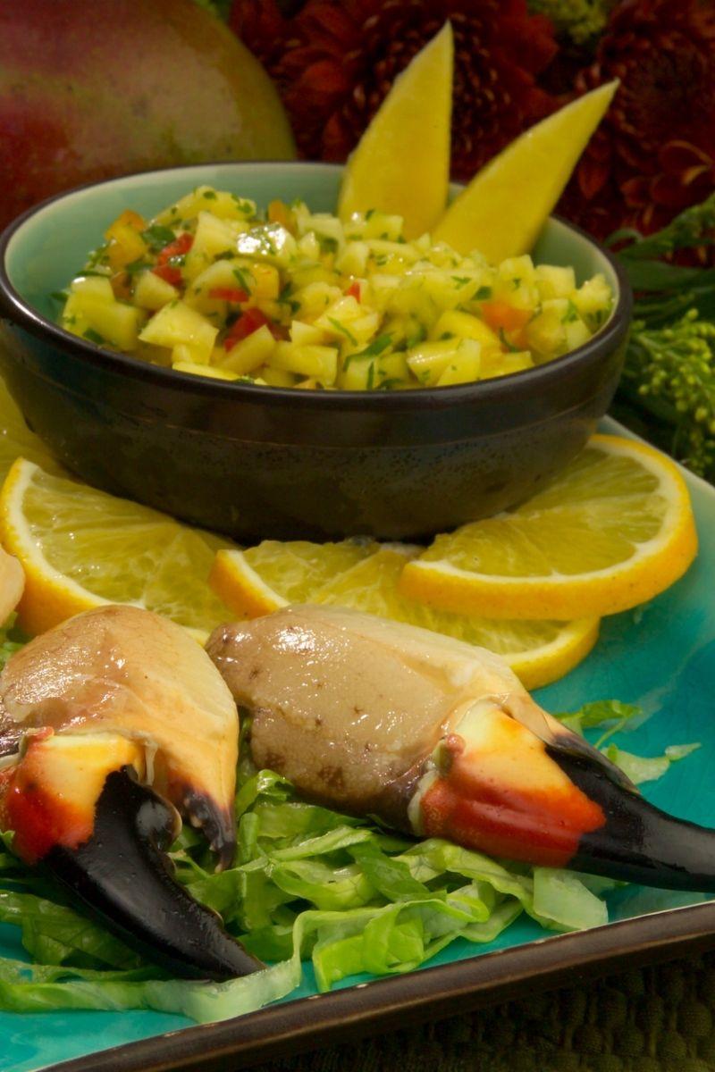 Ceviche Wallpapers - Wallpaper Cave