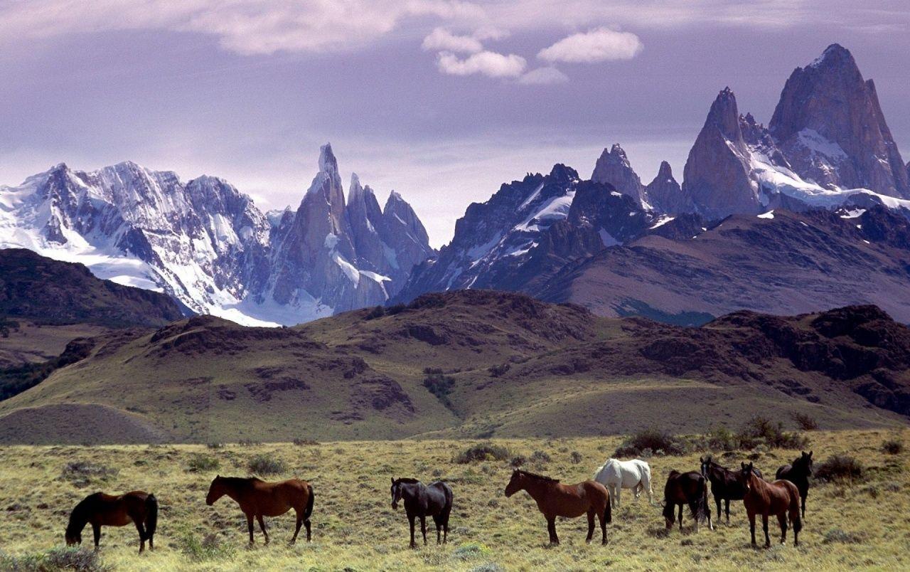 Mendoza Wallpapers - Wallpaper Cave