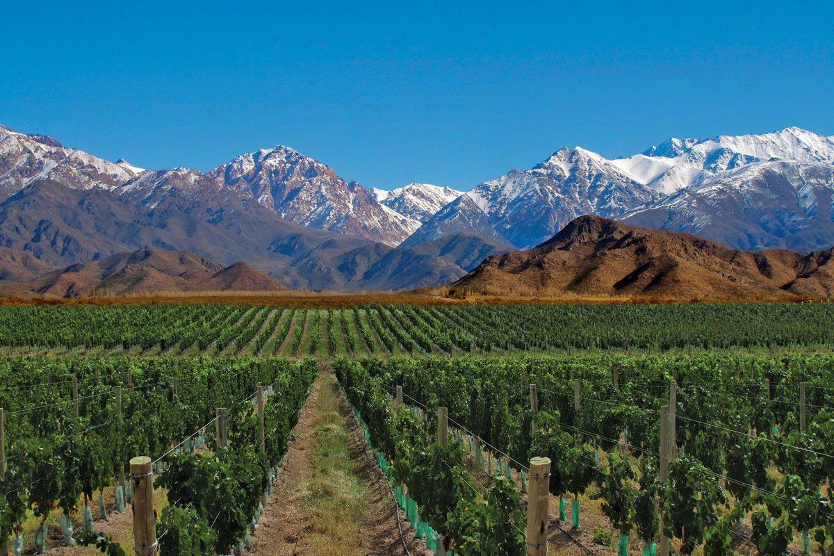 Mendoza Wallpapers - Wallpaper Cave